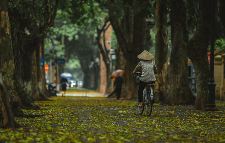 Ghim ngay 5 mẹo chụp ảnh phong cảnh mùa thu siêu lãng mạn, đẹp như hình bìa tạp chí  - 5