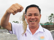 Tin tức - Nuôi con vật “hiền như cục đất” lại mê nước, ông nông dân ở miền Tây thu 140 tỷ đồng/năm