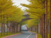 Ngon-bổ-rẻ - Ghim ngay 5 mẹo chụp ảnh phong cảnh mùa thu siêu lãng mạn, đẹp như hình bìa tạp chí 