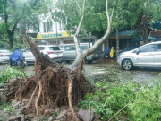 Tin tức - Bão số 3 làm 24 người chết và mất tích, 229 người bị thương, thiệt hại chưa đong đếm hết