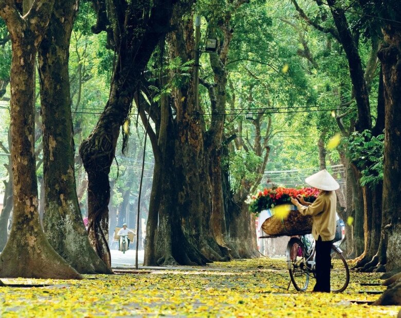 Ghim ngay 5 mẹo chụp ảnh phong cảnh mùa thu siêu lãng mạn, đẹp như hình bìa tạp chí  - 2