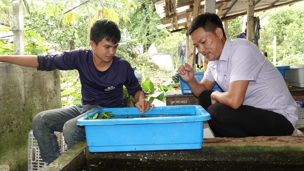 Bỏ việc lương cao về quê nuôi con vật thích bơi lội, anh nông dân ở Đồng Tháp nhẹ nhàng bỏ túi 400 triệu đồng/năm - 4