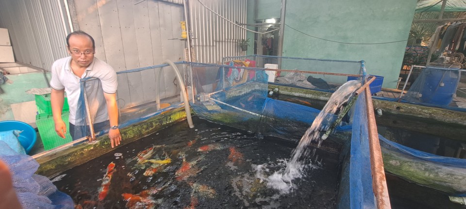 img srchttps://cdn.eva.vn/upload/3-2024/images/lienntt1/picture-2104255514-1726230586-491-width1024height576.jpg width1024 /br /
Anh Vương chia sẻ kinh nghiệm nuôi cá. 