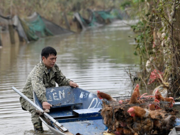 Nước sông Hồng dâng cao, người dân bãi giữa chèo thuyền đi học, đi làm