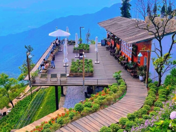 5 quán cafe view đẹp nhất Tam Đảo: Địa điểm săn mây, ngắm hoàng hôn đẹp đỉnh nóc, kịch trần