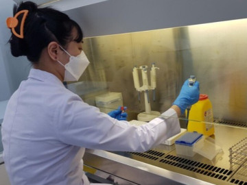 Giám sát biến chủng mới đậu mùa khỉ