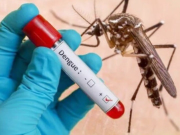 Hà Nội vào cao điểm sốt xuất huyết, cần chú ý những dấu hiệu sớm của bệnh để không gặp biến chứng nặng