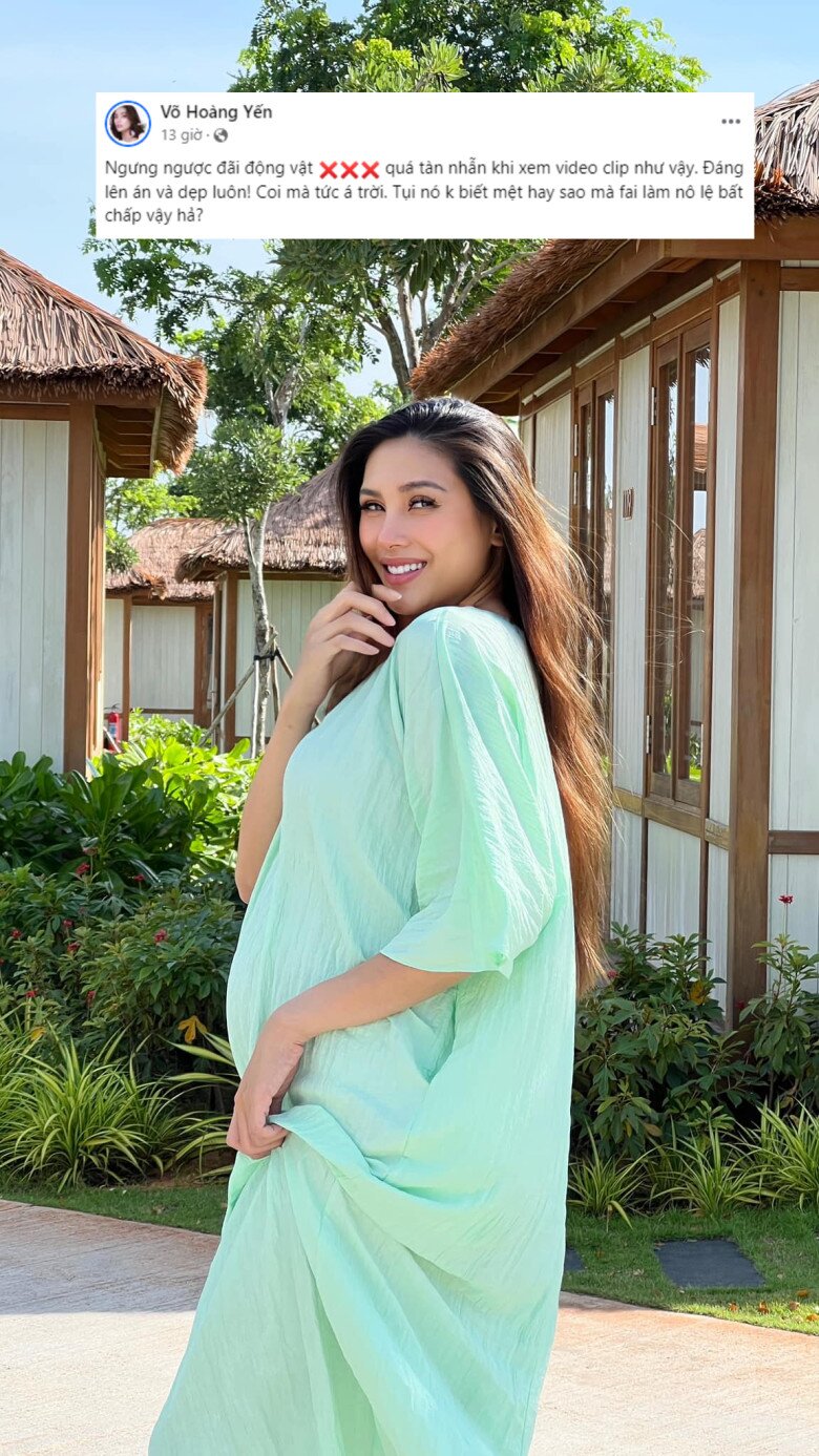 Sao việt lên tiếng vụ chú chó bị ngược đãi ở đà lạt tăng thanh hà đau lòng mẹ bầu võ hoàng yến bức xúc - 3