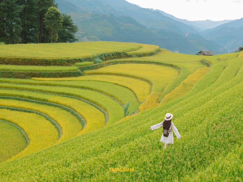 Sáng thì có nắng nhẹ thường xuyên, chiều tối và đêm trời lại mát se se lạnh. Nhiệt độ trung bình tại Mù Cang Chải dịp tháng 10 rơi vào từ 15-26 độ C. (Ảnh: Trang Phạm)