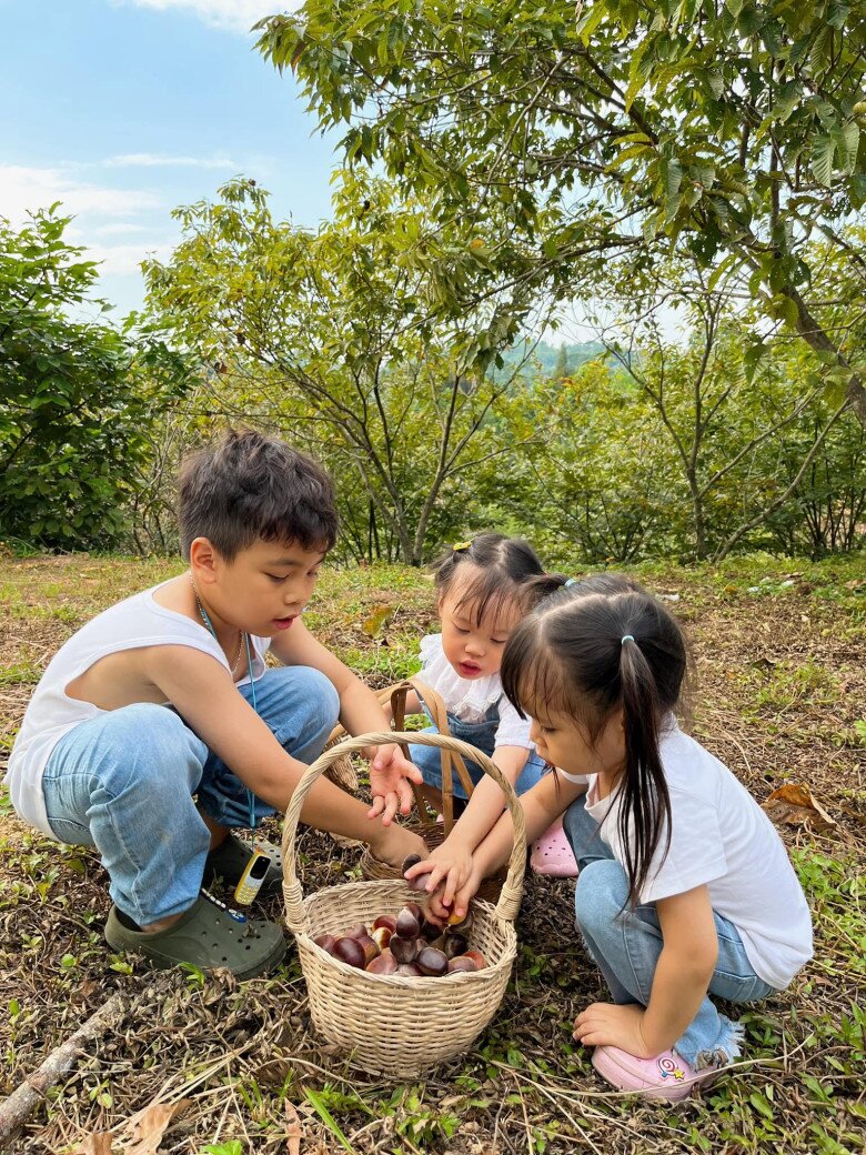 Children holding baskets of chestnuts