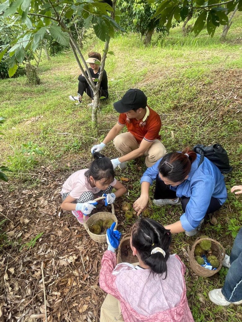 Children enjoying the chestnut harvest