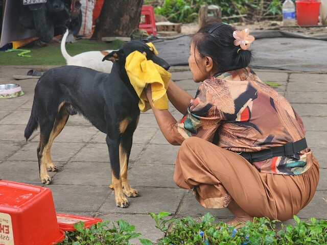 Ngoại Út xem việc nhận nuôi những chú chó như làm việc thiện, tích đức cho bản thân mình.