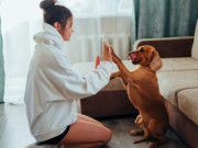 Sức khỏe - Gần gũi với thú cưng, một phụ nữ ở Vĩnh Phúc sẩn ngứa khắp người bởi giun "đào hầm dưới da"