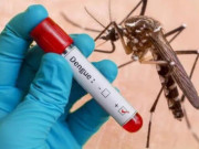 Sức khỏe - Hà Nội xuất hiện thêm 17 ổ dịch sốt xuất huyết trong bối cảnh năm học mới sắp bắt đầu