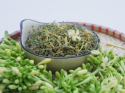 Sức khỏe - Hoa đu đủ đực có phải là "thần dược" chữa ung thư như lời đồn? Chuyên gia chỉ cách sử dụng để không gây hại