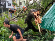 Sức khỏe - Làm sao để tránh thương tích do cây đổ và các bệnh dễ gặp khi bão số 3 Yagi đổ bộ vào đất liền?