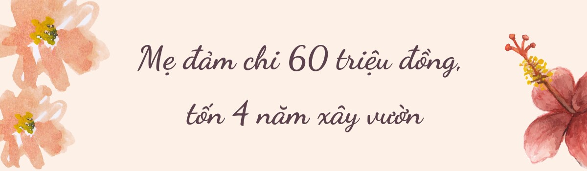 Mẹ đảm chi 60 triệu làm vườn ở Nhật: Rau quả Việt ngập lối, 60 gốc hoa hồng quanh năm khoe sắc hương - 7