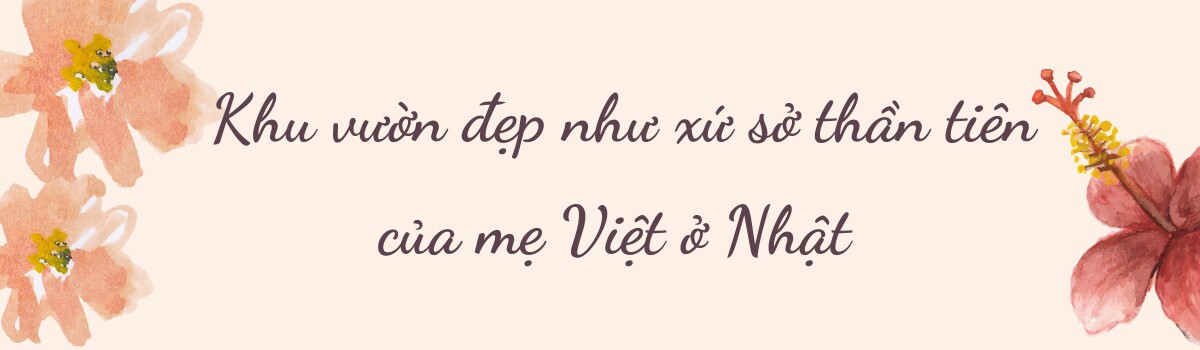 Mẹ đảm chi 60 triệu làm vườn ở Nhật: Rau quả Việt ngập lối, 60 gốc hoa hồng quanh năm khoe sắc hương - 2