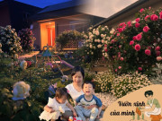 Nhà đẹp - Mẹ đảm chi 60 triệu làm vườn ở Nhật: Rau quả Việt ngập lối, 60 gốc hoa hồng quanh năm khoe sắc hương
