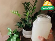 Nhà đẹp - Mùa thu hãy tưới 3 loại nước này, lá cây sáng bừng sức sống, hoa đua nhau nở rộ