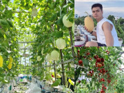 Nhà đẹp - Bố đảm Thái Bình chi 20 triệu làm vườn dưa trên sân thượng, chia sẻ cách trồng cực chi tiết giúp một năm thu 3 vụ