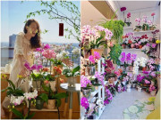 Nhà đẹp - Cô gái trồng lan hồ điệp trong nhà, cảnh trăm hoa đua nở khiến nhiều người không thể kìm lòng