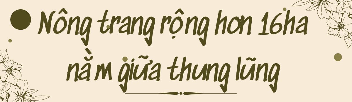 Theo chồng Mỹ về vùng quê hẻo lánh, mẹ Việt khai hoang nông trang hơn 16ha, rau củ ăn quanh năm không hết - 1