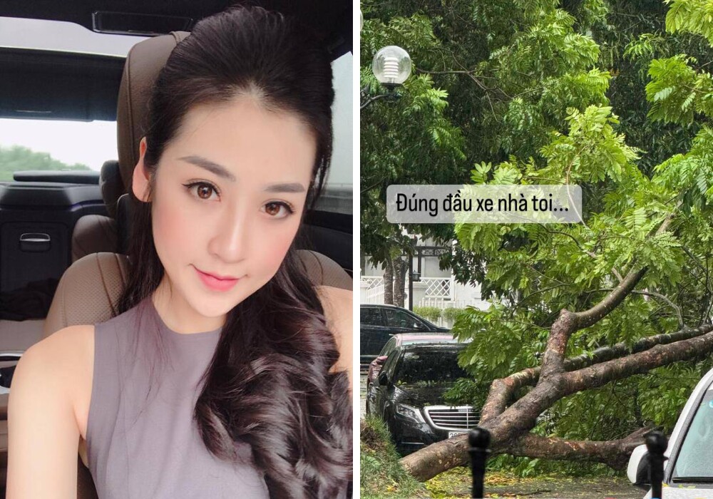 Hình ảnh cây ngã vào đầu xe của Á hậu Dương Tú Anh.