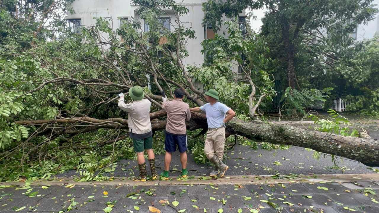 Xuân Bắc cùng với 2 con trai phụ việc dọn dẹp cây cối sau cơn bão. Anh chia sẻ: Bão tàn phá ghê gớm quá. Cây đổ khắp nơi. Lực lượng hỗ trợ và công ty cây xanh, giao thông công chính quá tải. Bố con em xin góp một phần công sưc nhỏ để khắc phục sau bão với khu phố.