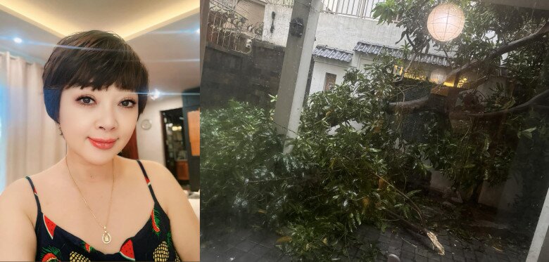 Cây xoài lớn trong cơ ngơi của Trà My đổ ngã sau cơn giông.