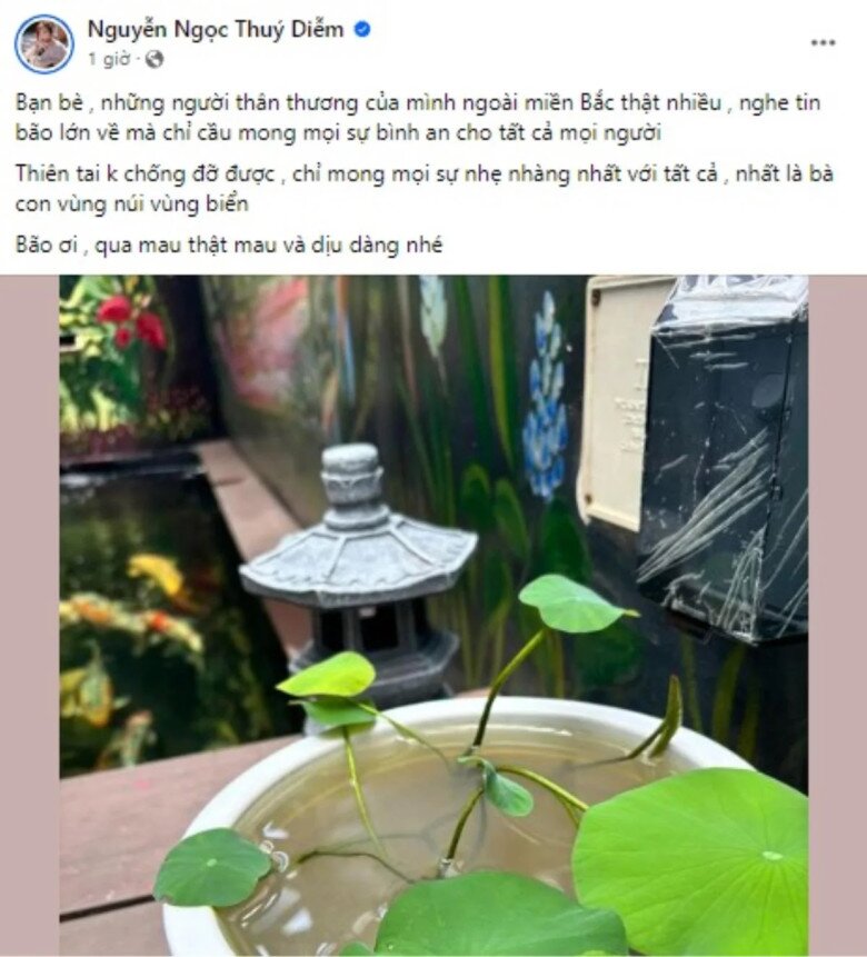 Diễn viên Thúy Diễm hy vọng mọi người sẽ bình an và bão sớm tan, suy yếu để không gây thiệt hại nhiều về người và tài sản. Cô chia sẻ: Bạn bè, những người thân thương của mình ngoài miền Bắc thật nhiều, nghe tin bão lớn về mà chỉ cầu mong mọi sự bình an cho tất cả mọi người.