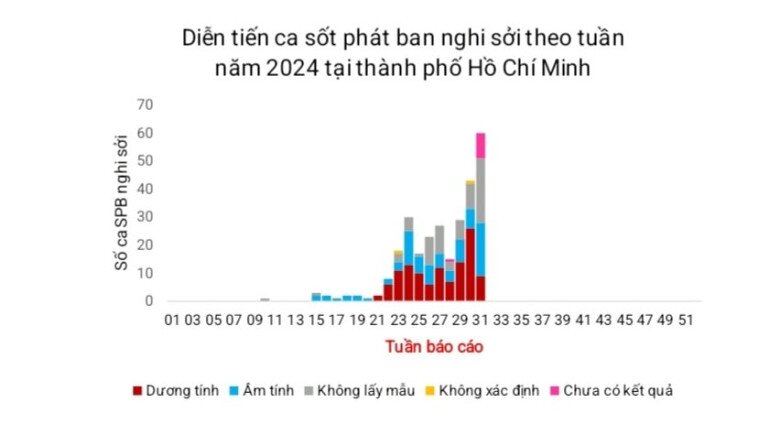 Hiện đã có 3 trẻ tử vong do sởi, TP.HCM cảnh báo nguy cơ về dịch bệnh - 2