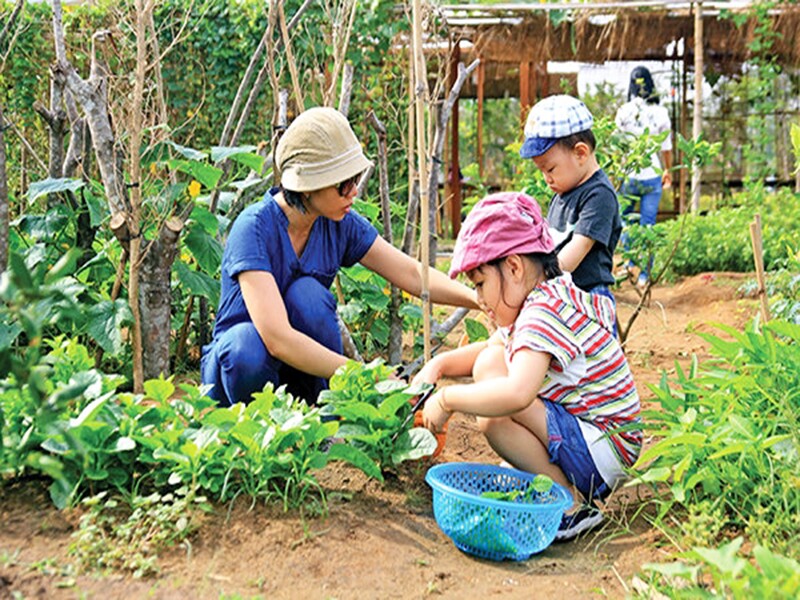 Vui chơi ngoài trời giúp trẻ được hoạt động thể chất, tiếp xúc với ánh sáng mặt trời từ đó hấp thu được nhiều vitamin D, góp phần phát triển hệ xương, hệ thống miễn dịch, từ đó giúp bé giảm nguy cơ mắc bệnh tim mạch, béo phì cũng như các bệnh dễ lây nhiễm.