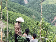 Tin tức 24h: Mất cả gia đình trong trận sạt lở, bé gái nhìn về thôn Nậm Tông bật khóc con nhớ bố mẹ