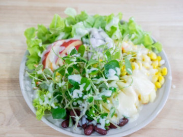 Loại cây dại mọc bờ bụi có tác dụng ngăn ngừa ung thư, ở Nhật coi là rau trường thọ, giá 250.000...