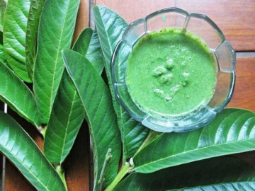 Loại lá không ngậm hóa chất, giàu vitamin C lại tốt cho tim, xưa ai cũng chê nay được săn lùng, 100.000 đồng/kg 