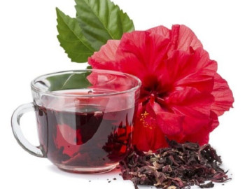 Loại hoa trồng làm hàng rào, ai cũng nghĩ không ăn được ngờ đâu là đặc sản thành phố, giúp mọc tóc giảm cân, hạ huyết áp