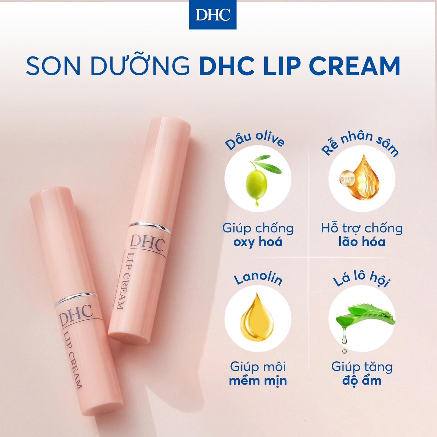 Thông tin thành phần của DHC Lip Cream