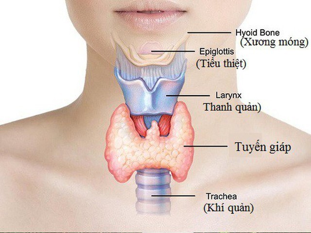 9 dấu hiệu cảnh báo bệnh tuyến giáp, cần được khám sớm