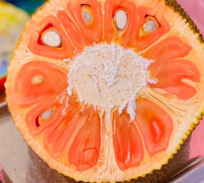 Giống mít này giòn ngọt, vị hấp dẫn nhưng số lượng không có nhiều do chưa được trồng phổ biến