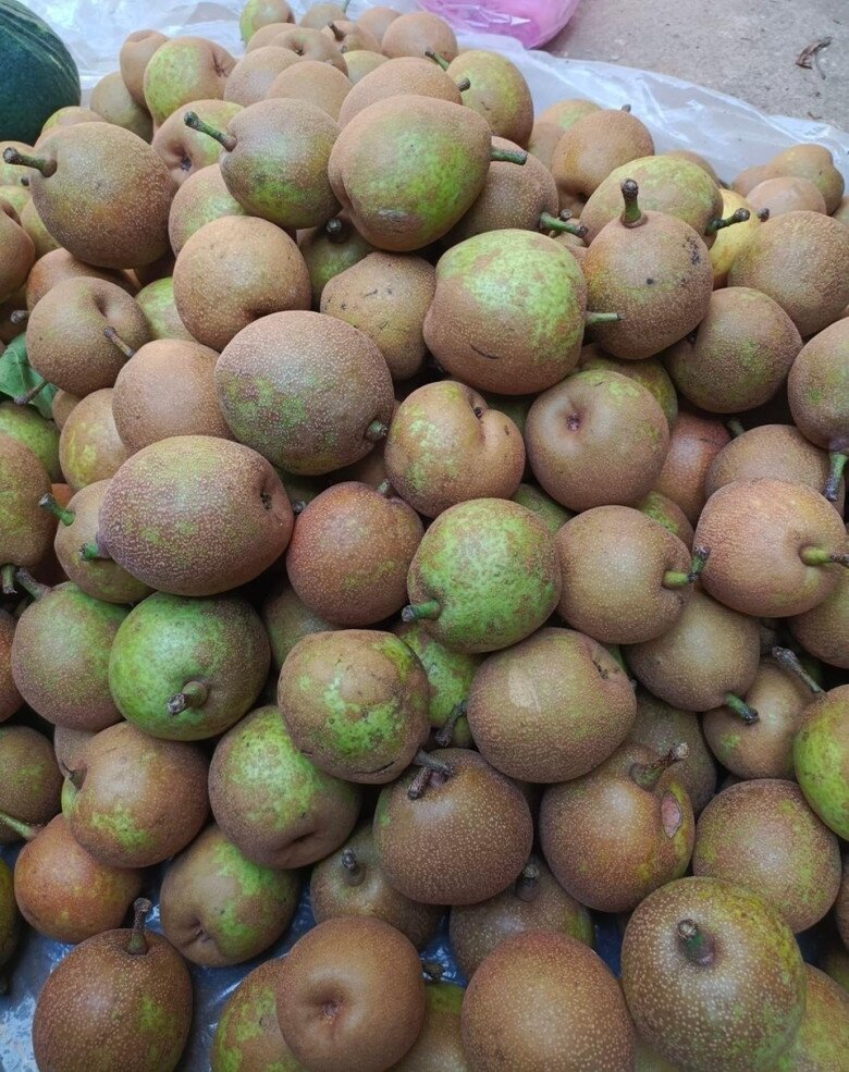Mắc cọp rừng kích thước bé, mẫu mã không đẹp nhưng ngọt và đảm bảo sạch