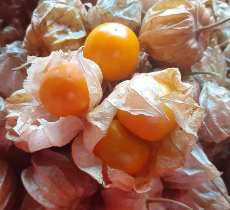 Loại quả xưa rụng đầy không ai ăn, nay thành đặc sản có hương vị lạ được ưa chuộng, 240.000 đồng/kg - 4