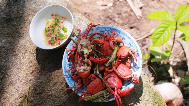 amp;#34;Lộc trờiamp;#34; bò ra từ hốc đá, xuất hiện nhiều khi trời mưa, dân đi bắt về bán 300.000 đồng/kg thành đặc sản nổi tiếng - 4