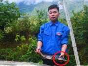 Tin tức - Nuôi con to bự "hiền như cục đất", anh nông dân kiếm 8,5 tỷ đồng