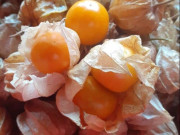 Tiêu dùng - Loại quả xưa rụng đầy không ai ăn, nay thành đặc sản có hương vị lạ được ưa chuộng, 240.000 đồng/kg