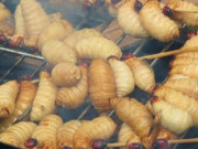 Tiêu dùng - Đặc sản nổi tiếng Phú Thọ có tên rất lạ, xưa không ai ăn nay dân thành phố "săn lùng", 350.000 đồng/kg