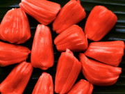 Tiêu dùng - Loại quả xưa không ai biết đến, giờ thành đặc sản vừa ngon vừa hiếm được người thành phố "săn lùng", 150.000 đồng/kg