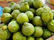 Tiêu dùng - Loại quả xưa rụng đầy không ai biết đến, giờ thành đặc sản có hương vị lạ ở thành phố, 170.000 đồng/kg