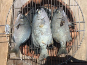 Tiêu dùng - Đặc sản ở Quảng Ngãi có tên rất lạ, xưa không ai biết đến nay dân thành phố "săn lùng", 200.000 đồng/kg