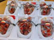 Tiêu dùng - Nhiều người "xếp hàng" mua nho Nhật đắt nhất thế giới giá 12 triệu đồng/kg